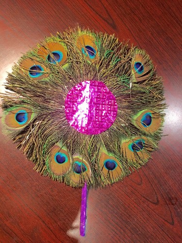 Iridescent peacock feather - peacock,