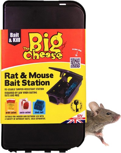 The big cheese - the, mouse