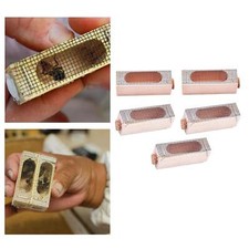 5pcs queen bee cage catcher - queen,