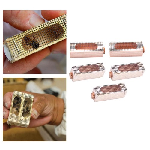 5pcs queen bee cage catcher - 5pcs,