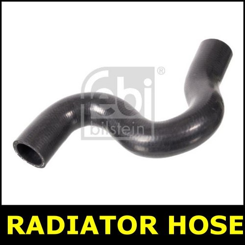 Radiator hose right upper - hose,