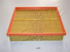 Ashika Air Filter for Land