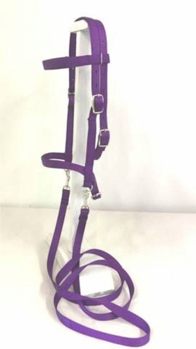 Miniature horse sm pony - miniature,
