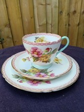 Vintage shelley begonia - vintage,