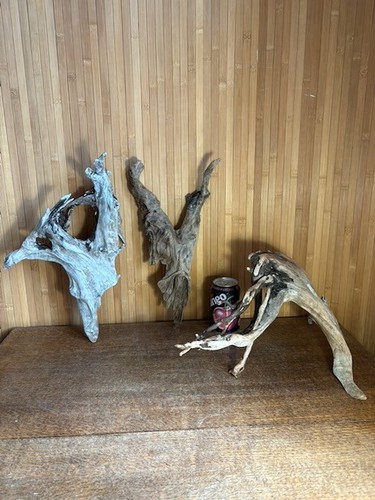 Driftwood irregular trees - , x3