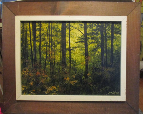 Selmi charles - charles,