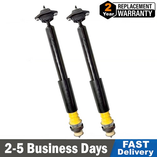 Shock absorbers strut - 2x,
