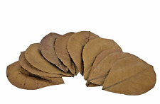 Natural Ketapang Catappa Indian Almond Leaves for Betta Shrimp Pleco Blackwater