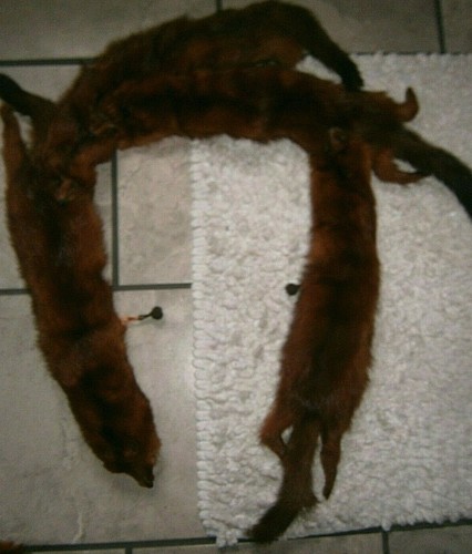 Vintage glazed mink - vintage, fur