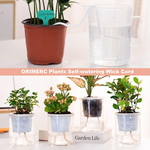 Pack inch net cup - inch, pots