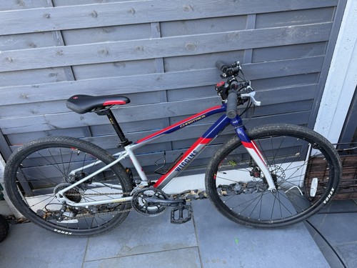 Wiggins chartres wheels - chartres, 26”
