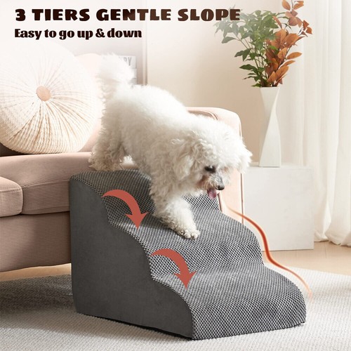 Cat dog stairs - cat,