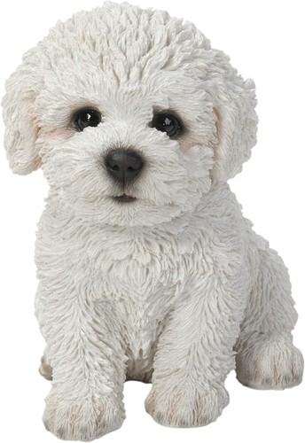 Vivid arts bichon frise - arts, puppy