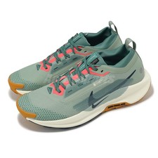Nike Pegasus Trail 5 GTX