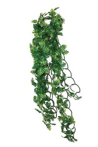 Komodo reptile hanging - komodo,