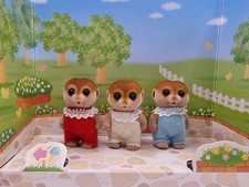 Sylvanian Families Spotter