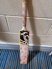 Kookaburra beast cricket - beast,