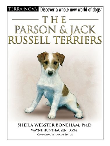 The parson jack russell - the,