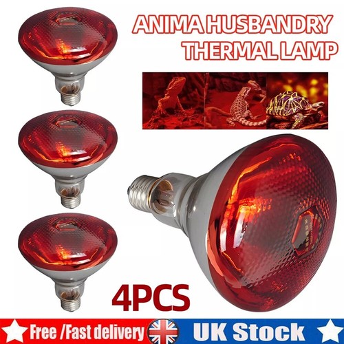 Infra red heat bulb - red, lamp