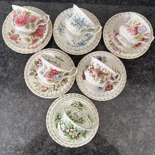 Royal albert flower the - royal,
