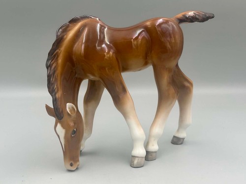 Lomonosov horse foal grazing - horse,