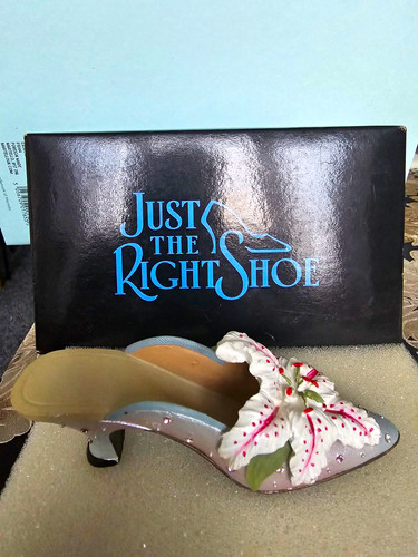Just the right shoe raine - just,