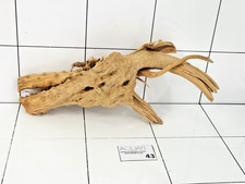 Premium Natural Aquarium