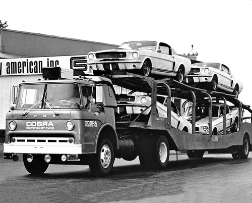 Shelby mustang cobras classic - cobras,