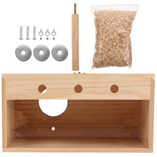 Parakeet nest parrot nesting - parakeet,