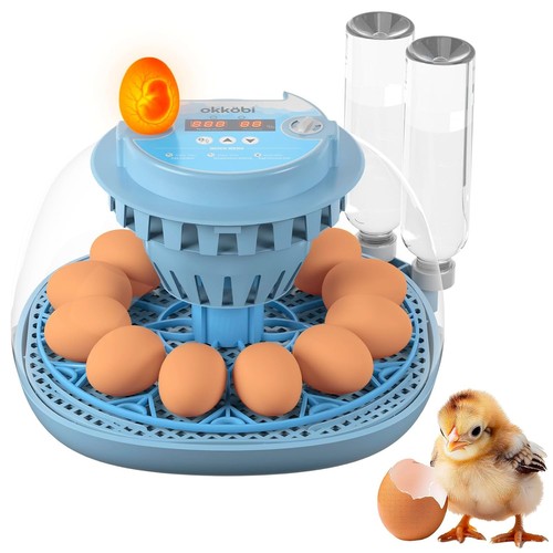 Egg incubator automatic - egg,