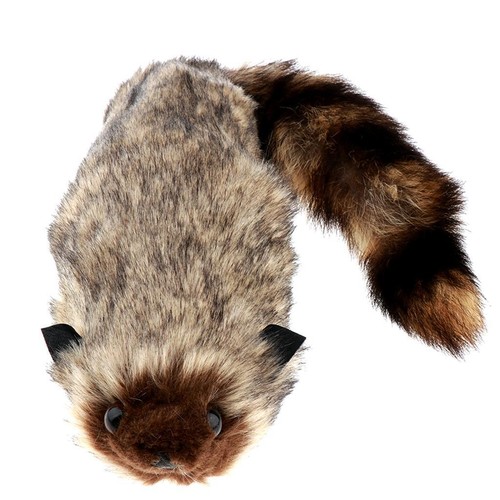 Rocky raccoon close magics - raccoon,