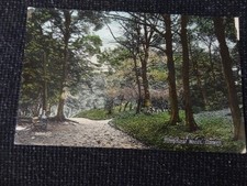 Sunnyhurst Woods Darwen