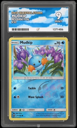 Pokémon tcg mudkip - pokémon,