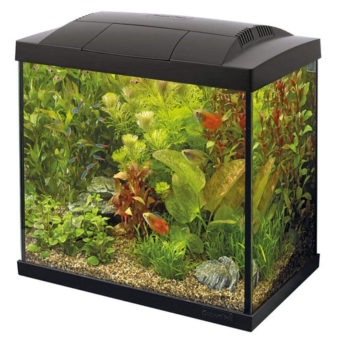 Superfish start tropical - superfish, 50