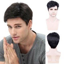 Men's Short Wigs Realistic