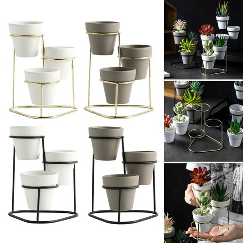 Ceramic succulent pots - ceramic,