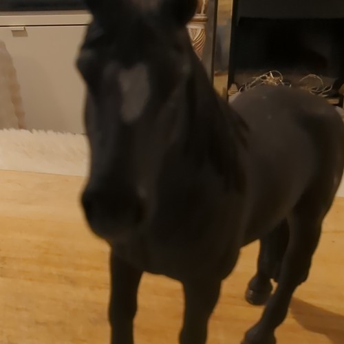 Black plastic horse figurine - plastic,