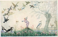 Molly Brett Dawn Chorus