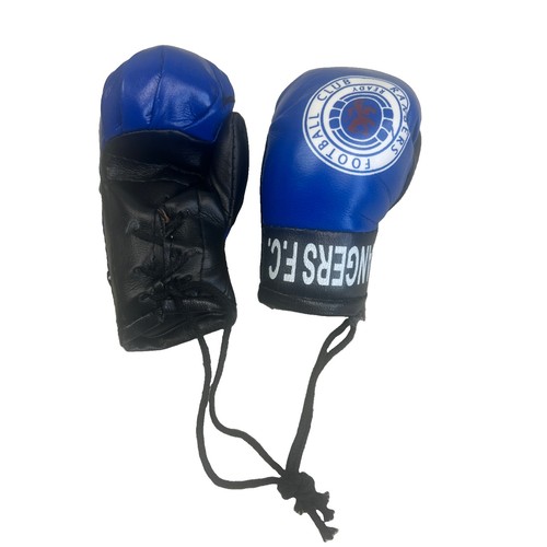 Rangers mini boxing - rangers,