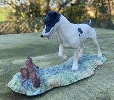 Border Fine Arts  Jack Russell