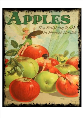 Vintage fresh apples - vintage,