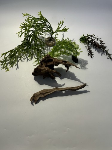 Bundle aquarium bogwood and - aquarium,