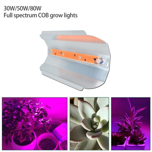 30w 50w 80w full - full, spectrum