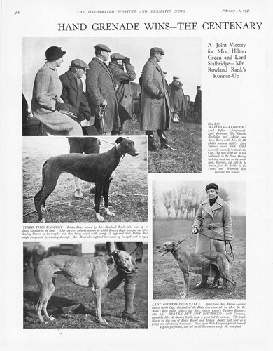 Coursing scenes from the - coursing,
