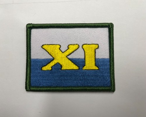 Signal brigade blue - 11,