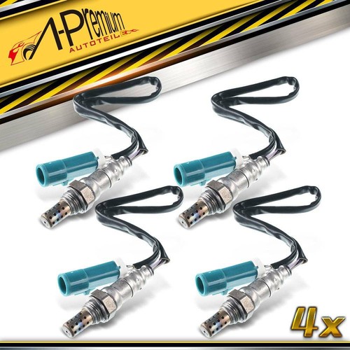 Lambda probes rule - 4x,