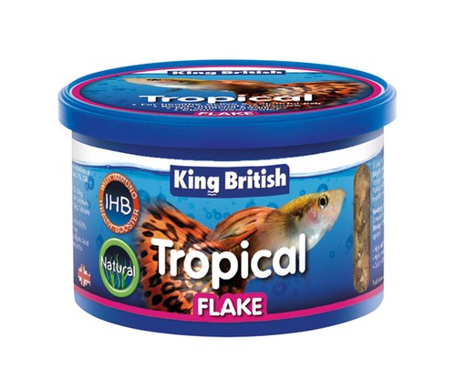 King british tropical fish - british,