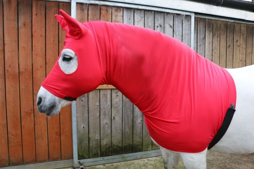 Red lycra horse - ,
