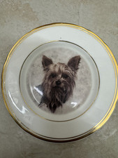 Vintage Yorkshire Terrier Collectible Plate Sawley Fine Arts Ltd Dogs Lover Gift