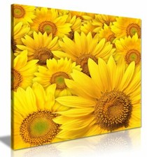Yellow Sunflower Canvas Wall